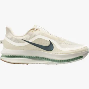 Pantofi de alergare Nike Pegasus Premium 40,5 EU