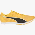 Crampoane Puma evoSPEED Distance 11 37 EU