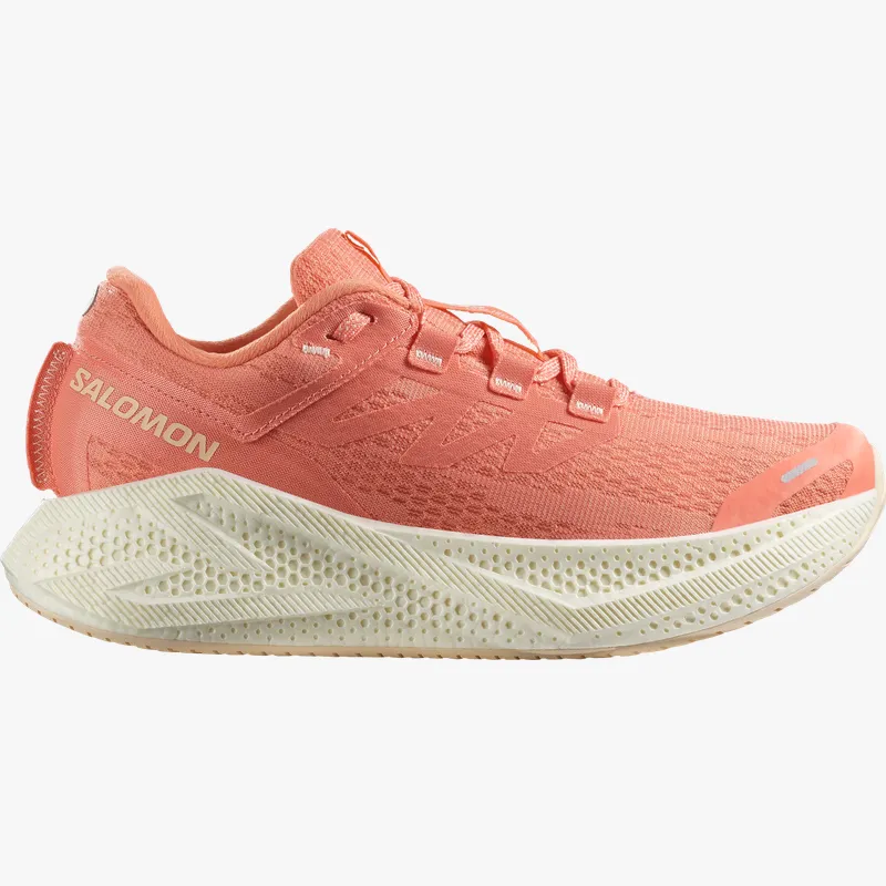 Pantofi de alergare Salomon AERO GLIDE 3 W 42,7 EU
