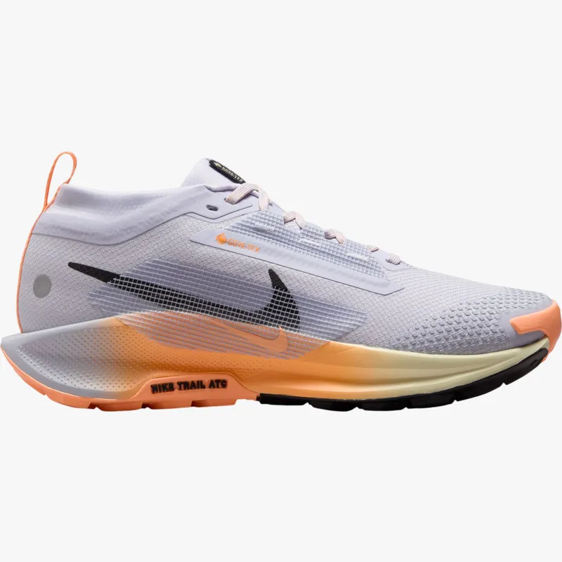 Pantofi trail Nike Pegasus Trail 5 GORE-TEX 37,5 EU