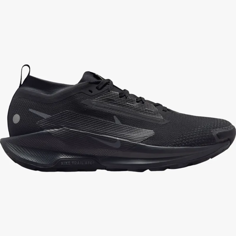 Pantofi trail Nike Pegasus Trail 5 GORE-TEX 42 EU