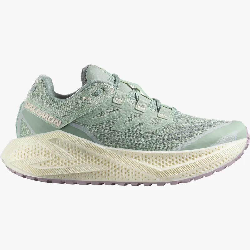 Pantofi de alergare Salomon AERO GLIDE 3 GRVL W 37,3 EU