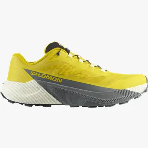 Pantofi trail Salomon PULSAR 42,7 EU