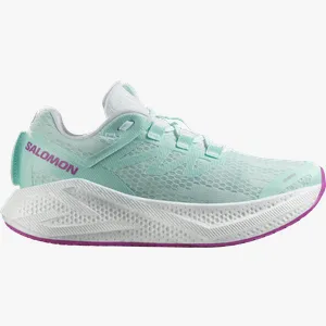Pantofi de alergare Salomon AERO GLIDE 3 W 40 EU