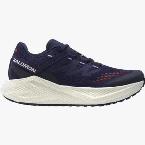 Pantofi de alergare Salomon AERO GLIDE 3 GRVL 45,3 EU