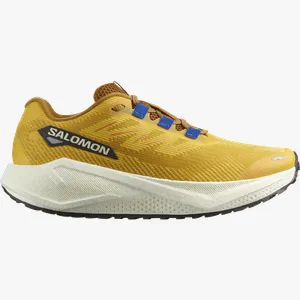 Pantofi de alergare Salomon AERO BLAZE 3 GRVL 45,3 EU