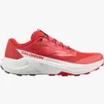 Pantofi trail Salomon PULSAR 44 EU