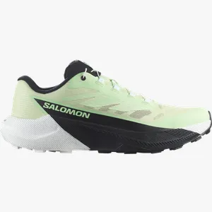 Pantofi trail Salomon PULSAR W 37,3 EU