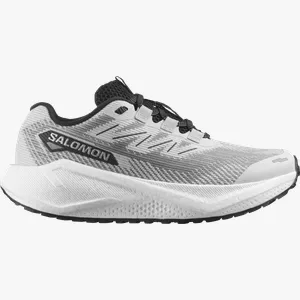 Pantofi de alergare Salomon AERO BLAZE 3 GRVL W 42 EU