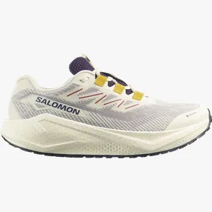 Pantofi de alergare Salomon AERO BLAZE 3 GRVL GTX 43,3 EU
