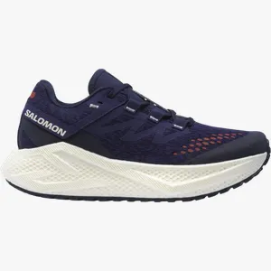 Pantofi de alergare Salomon AERO GLIDE 3 GRVL W 37,3 EU