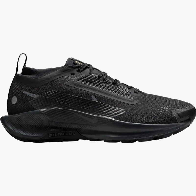 Pantofi trail Nike Pegasus Trail 5 GORE-TEX 39 EU