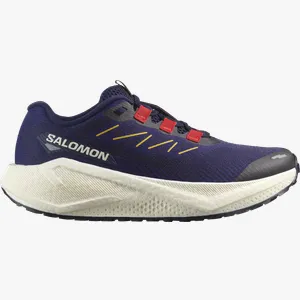 Pantofi de alergare Salomon AERO BLAZE 3 GRVL W 37,3 EU