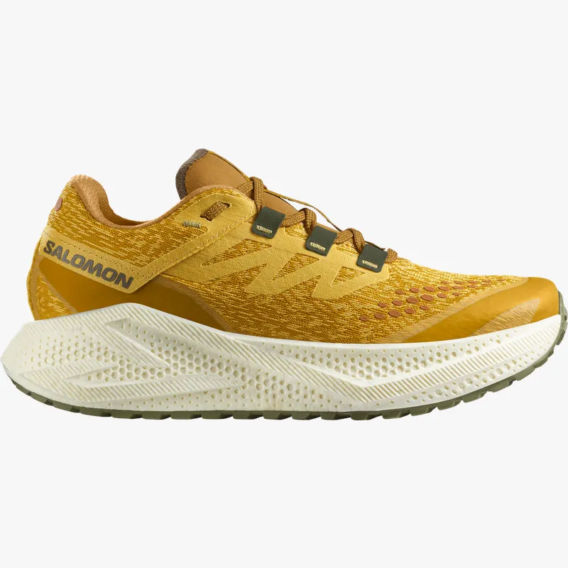 Pantofi de alergare Salomon AERO GLIDE 3 GRVL 44 EU