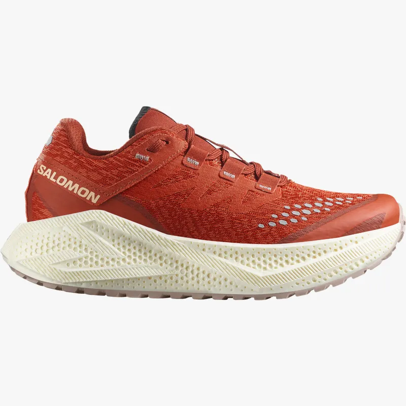 Pantofi de alergare Salomon AERO GLIDE 3 GRVL W 38,7 EU